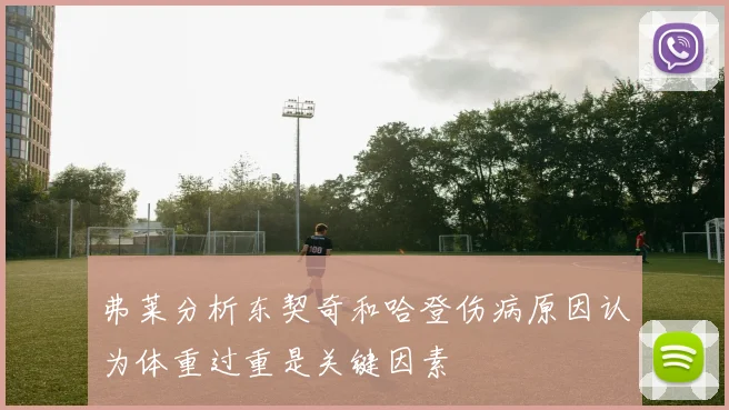 弗莱分析东契奇和哈登伤病原因认为体重过重是关键因素